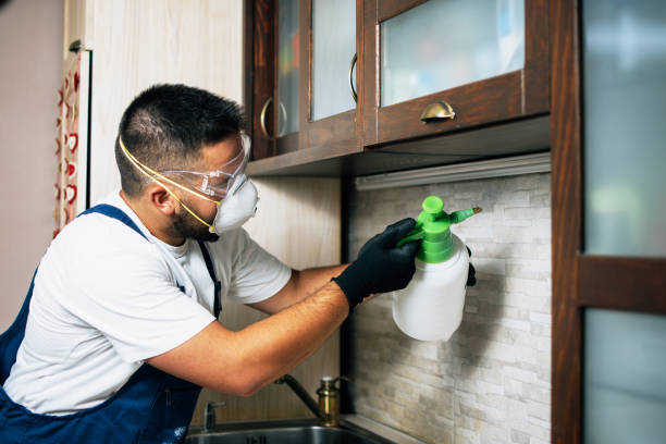 Best Exterminator Services  in Mechanicsburg, OH