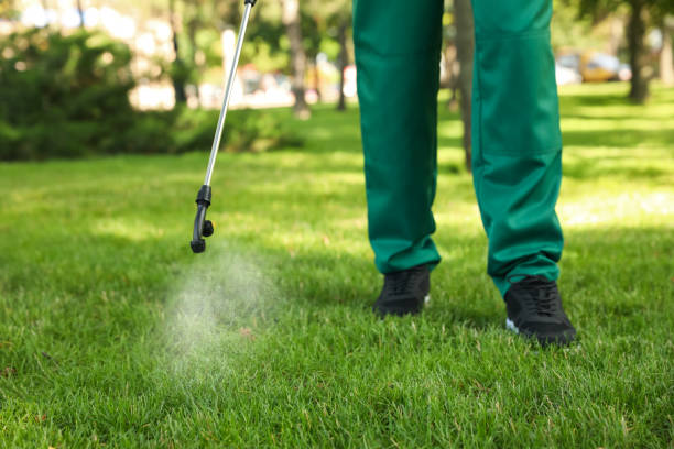 Best Local Pest Control Services  in Mechanicsburg, OH