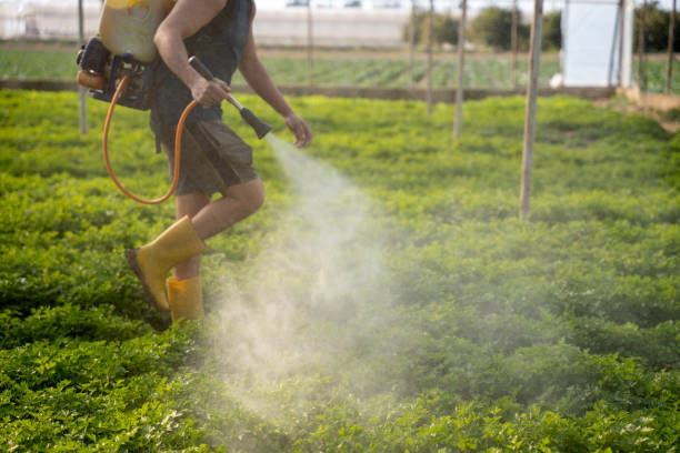 Best Pest Control Near Me  in Mechanicsburg, OH
