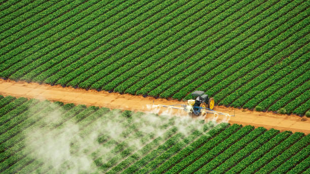 Best Pest Control for Homes  in Mechanicsburg, OH