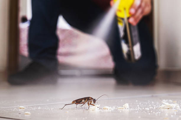 Best Rodent Control Near Me  in Mechanicsburg, OH