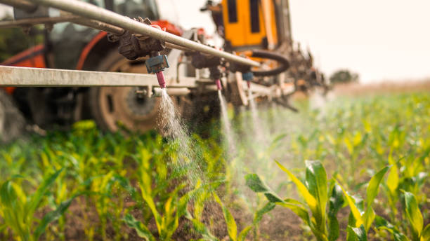 Best Pest Prevention Services  in Mechanicsburg, OH